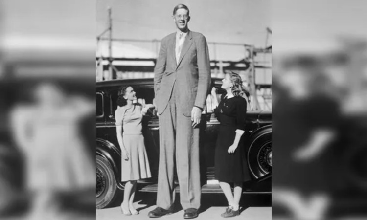 Robert Wadlow là người đàn ông cao nhất trong lịch sử. Ảnh: Bettmann
