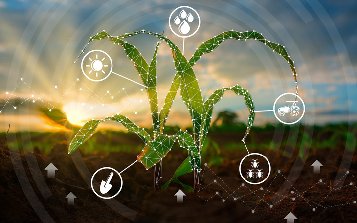 TTC AgriS được Fortune vinh danh top 500 doanh nghiệp lớn nhất Đông Nam Á- Ảnh 3. TTC AgriS thúc đẩy xu hướng thực phẩm Plant-based