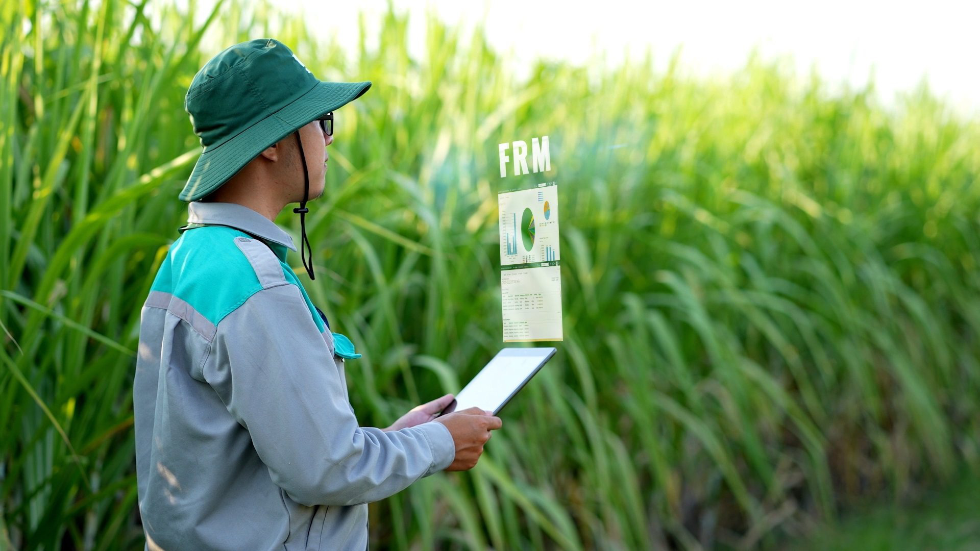 TTC AgriS được Fortune vinh danh top 500 doanh nghiệp lớn nhất Đông Nam Á- Ảnh 1. TTC AgriS là đại diện nông nghiệp lớn nhất của Việt Nam về doanh thu, thuộc top 500 doanh nghiệp hàng đầu trong bảng xếp hạng Fortune, khu vực Đông Nam Á - Ảnh: T.C.