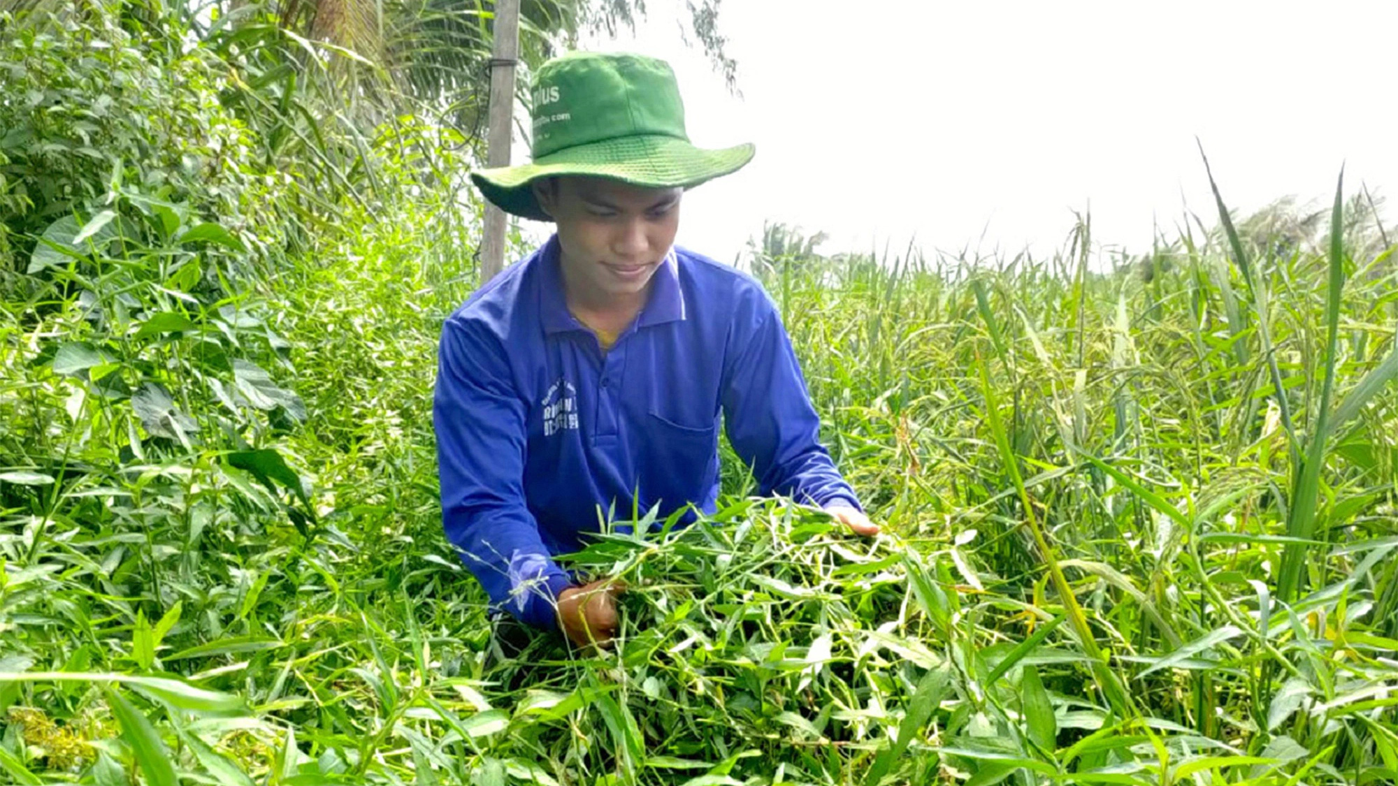 Học bổng chắp cánh ước mơ: Cậu học trò quyết tâm học giữa mái nhà xơ xác, cột kèo ngả nghiêng- Ảnh 1. Cắt cỏ, tưới rẫy mướn lâu nay đã trở thành công việc quen thuộc với cậu học trò nghèo Phạm Bảo Quốc - Ảnh: NGỌC THẮM