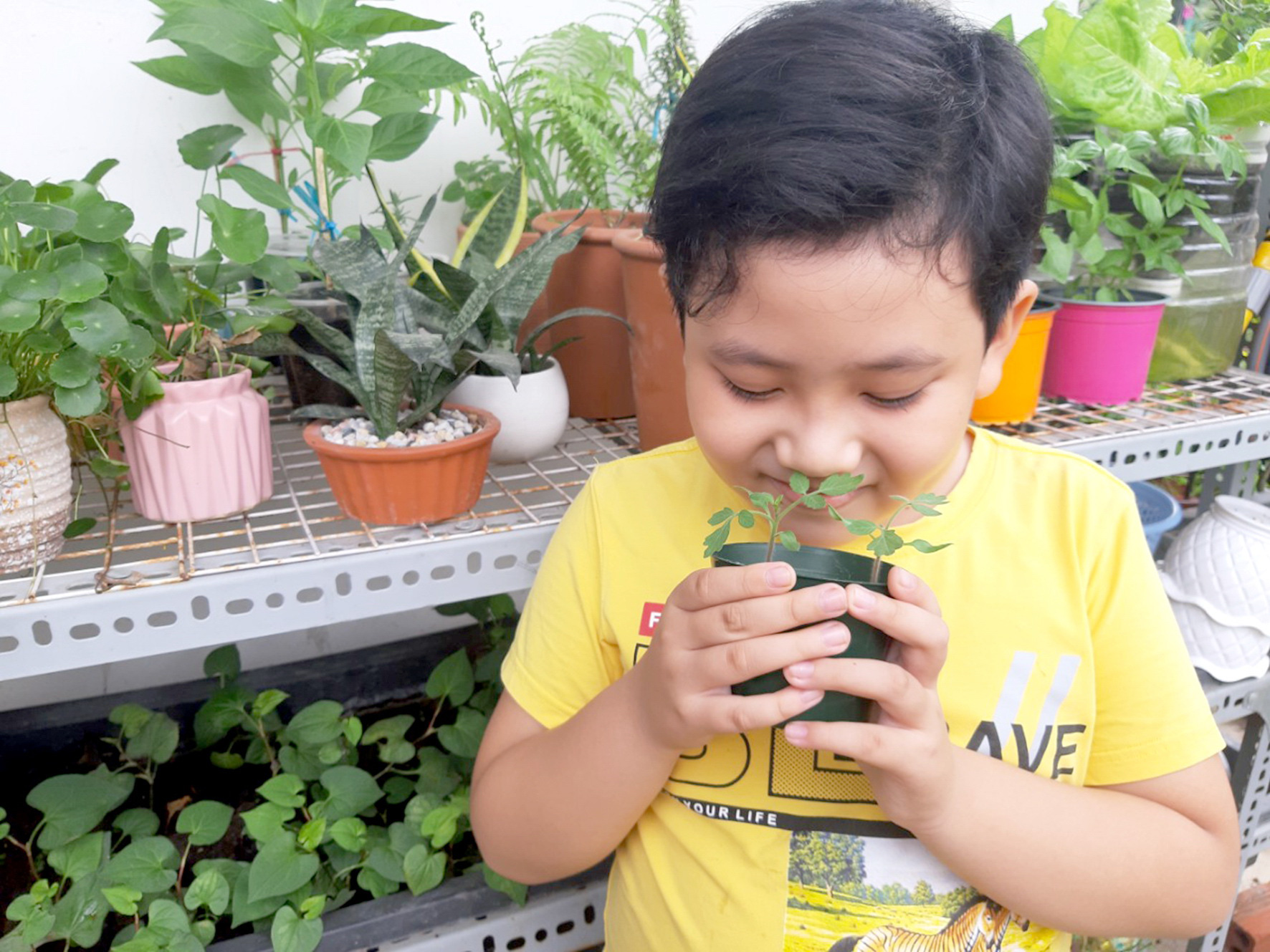 Cùng con ươm một hạt mầm- Ảnh 1. Hành trình chăm cây của hai mẹ con là một trải nghiệm thật hân hoan - Ảnh: TRẦN HUYỀN TRANG