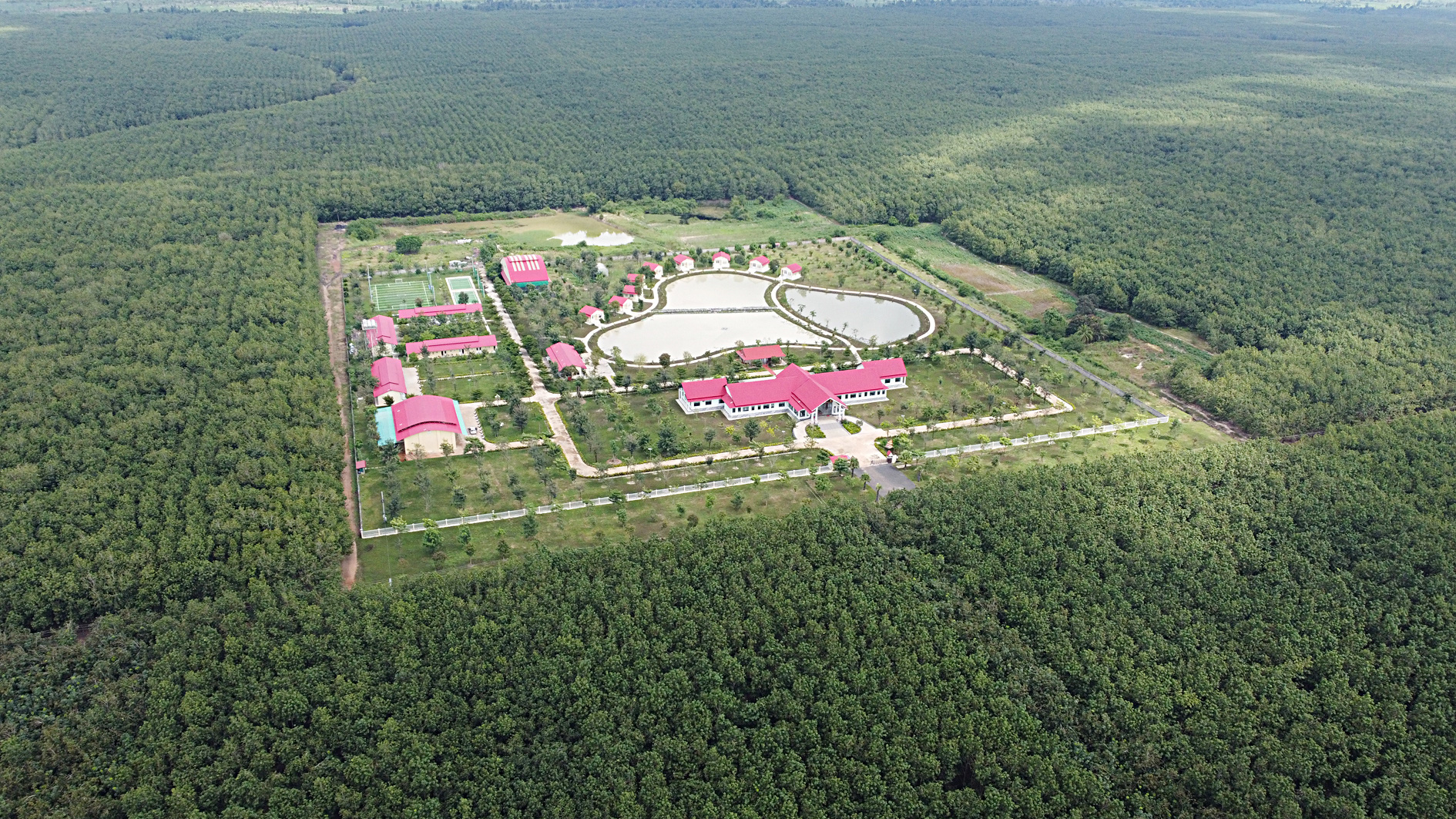 Trụ sở Công ty CPCS Chư Sê Kampong Thom nằm giữa 16.200ha cao su, được đánh giá là vườn cao su đẹp nhất Campuchia - Ảnh: SƠN LÂM Trụ sở Công ty CPCS Chư Sê Kampong Thom nằm giữa 16.200ha cao su, được đánh giá là vườn cao su đẹp nhất Campuchia - Ảnh: SƠN LÂM