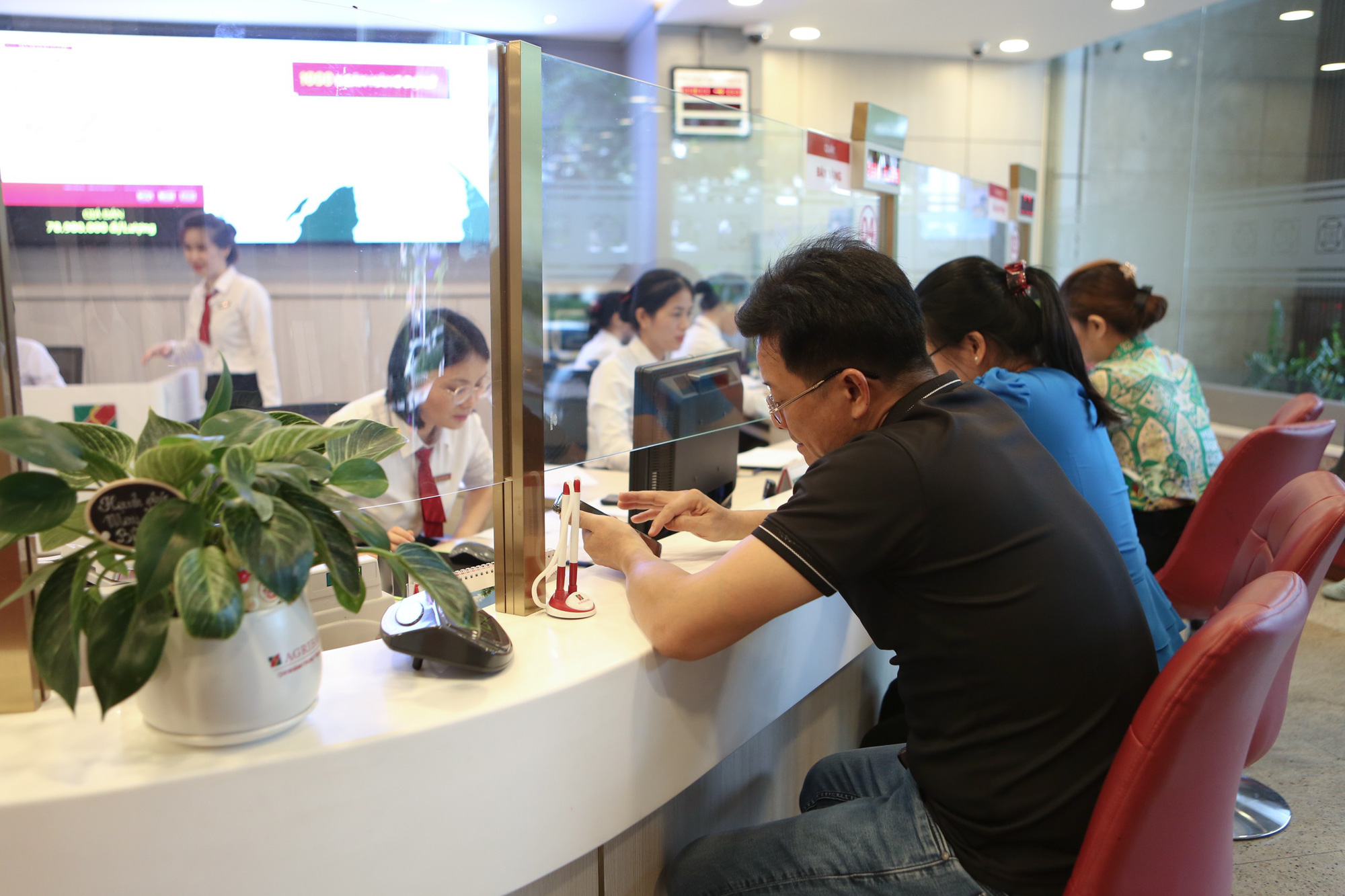 Các chuyên gia kiến nghị nên tăng nguồn cung và mở rộng điểm bán vàng - Ảnh: PHƯƠNG QUYÊN Các chuyên gia kiến nghị nên tăng nguồn cung và mở rộng điểm bán vàng - Ảnh: PHƯƠNG QUYÊN