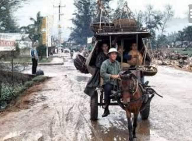 Những chuyến xe lam, xe ngựa đầy hoài niệm- Ảnh 3. Nhớ tiếng vó ngựa lộc cộc, lộc cộc trên con đường nắng - Ảnh tư liệu