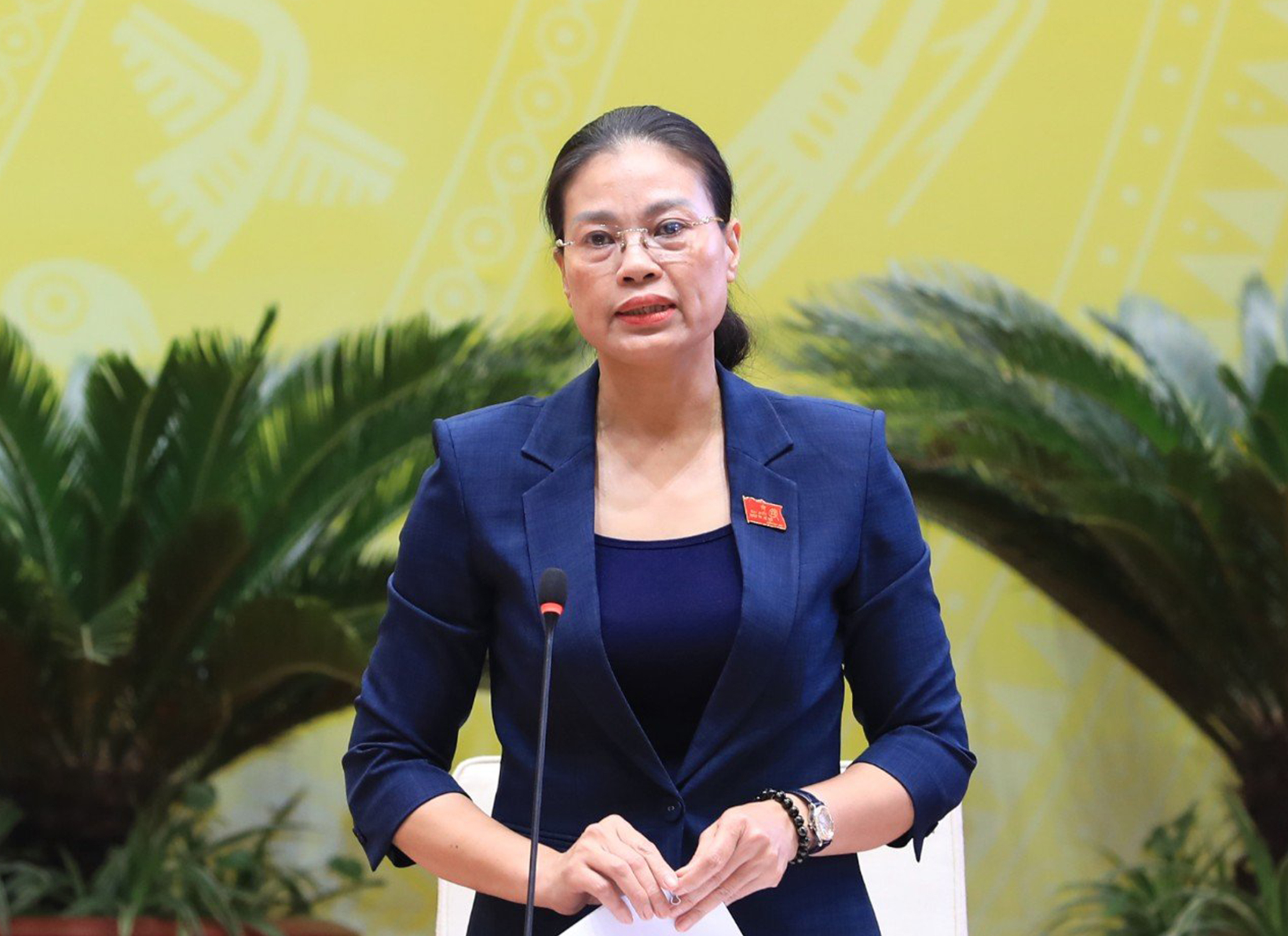 Giám đốc Sở Lao động Thương binh và Xã hội Bạch Liên Hương giải đáp về đào tạo nghề, chiều 3/7. Ảnh: Hoàng Phong