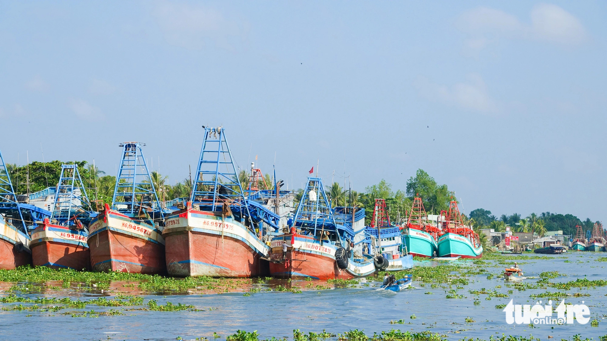 Kiên Giang có khoảng 5.311 tàu cá được cập nhật số liệu, định danh- Ảnh 1. Tàu cá neo đậu dày đặc hai bên sông Cái Bé (huyện Châu Thành, Kiên Giang) - Ảnh: CHÍ CÔNG