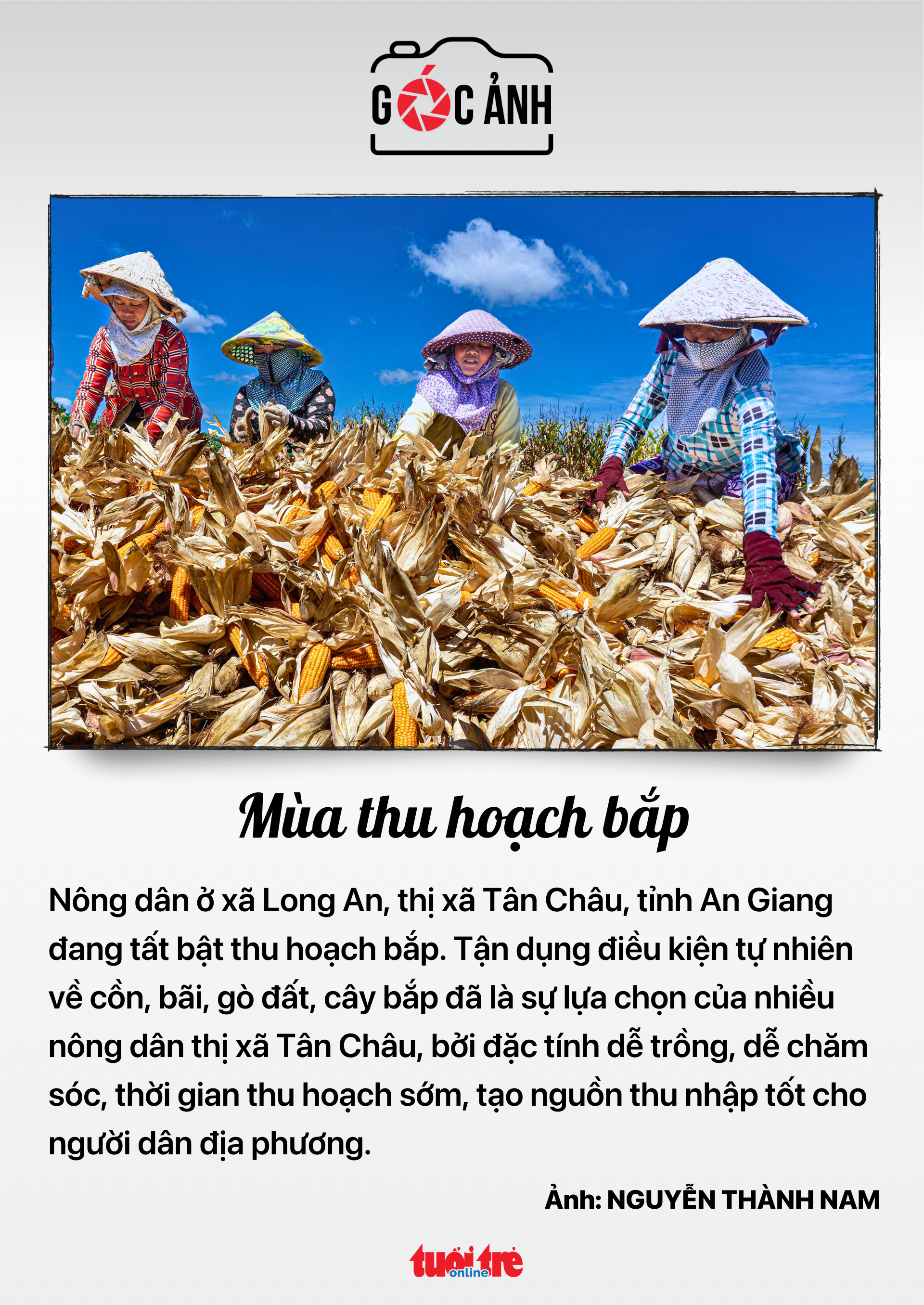 Tin tức sáng 11-7: Đường sắt bắt đầu mở bán vé tàu dịp lễ 2-9- Ảnh 9. Tin tức sáng 11-7: Đường sắt bắt đầu mở bán vé tàu dịp lễ 2-9- Ảnh 9.