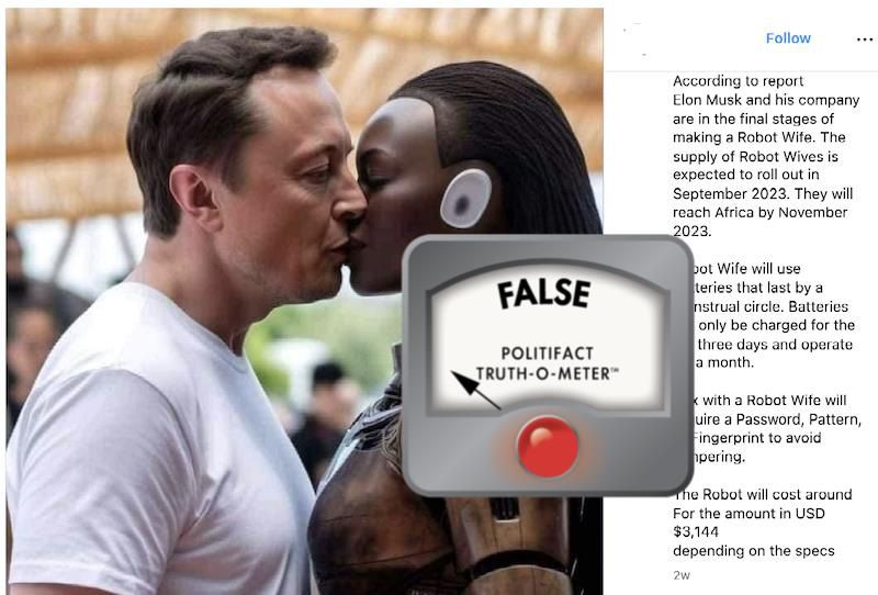 Thực hư thông tin Elon Musk sẽ cưới vợ robot- Ảnh 1. Thực hư thông tin Elon Musk sẽ cưới vợ robot- Ảnh 1.