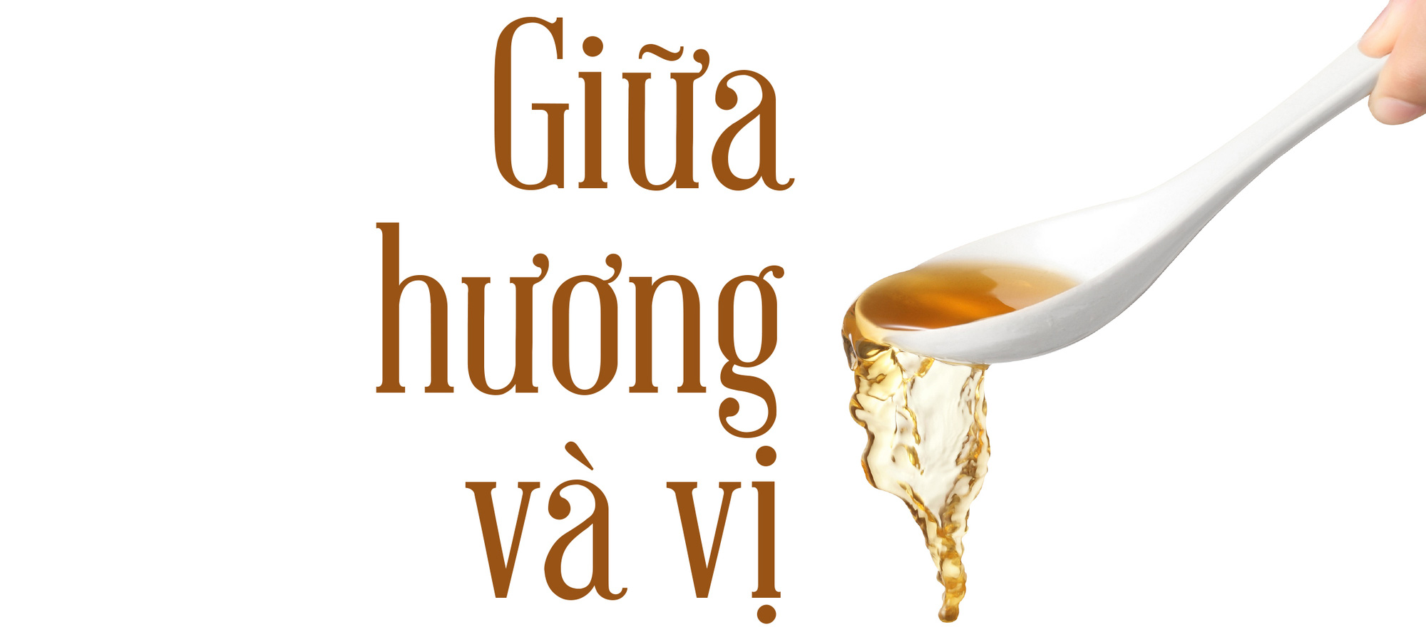 Hương nhốt niềm nhớ - Ảnh 1. Hương nhốt niềm nhớ - Ảnh 1.