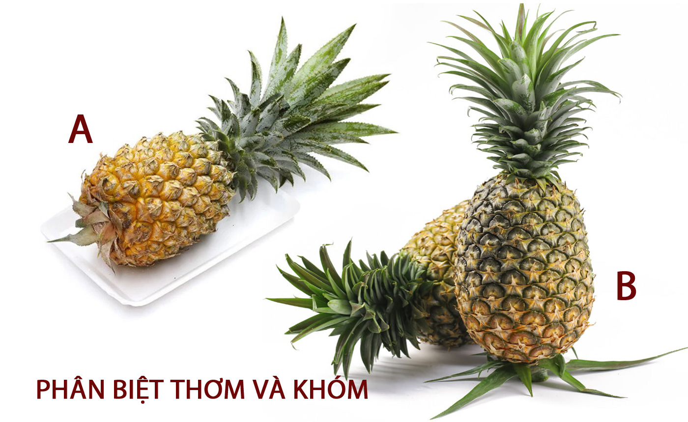 Phân biệt thơm và khóm khác nhau thế nào?