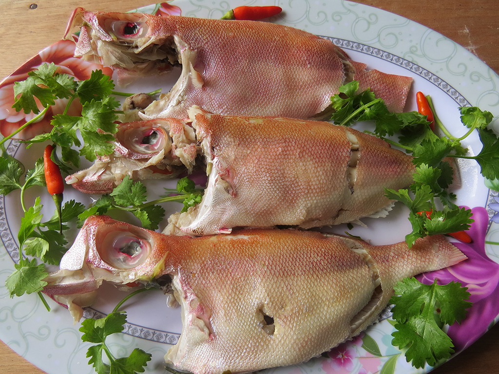 Hương vị quê hương: Cá bịp ăn rồi đến lúc ngủ mơ vẫn thèm- Ảnh 1. Hương vị quê hương: Cá bịp ăn rồi đến lúc ngủ mơ vẫn thèm- Ảnh 1.
