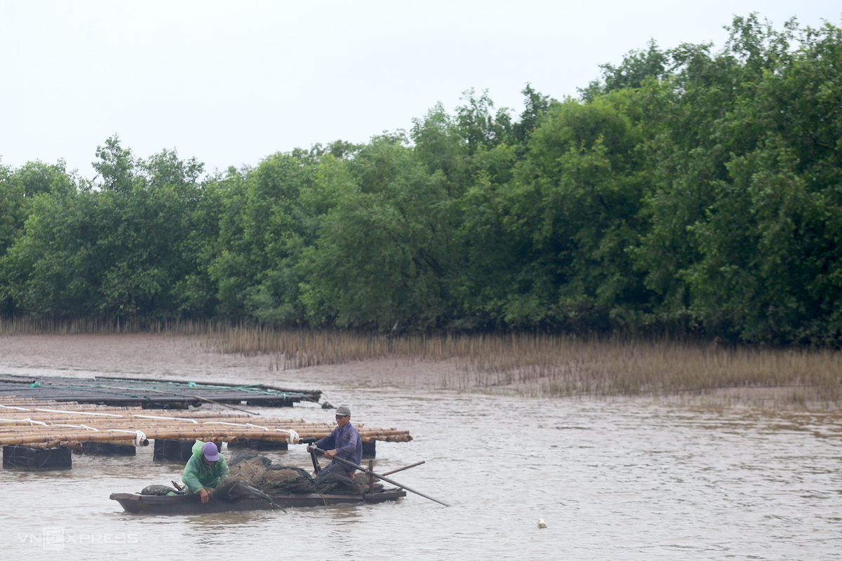 Người dân mưu sinh trong khu bảo tồn thiên nhiên đất ngập nước Tiền Hải. Ảnh: Gia Chính