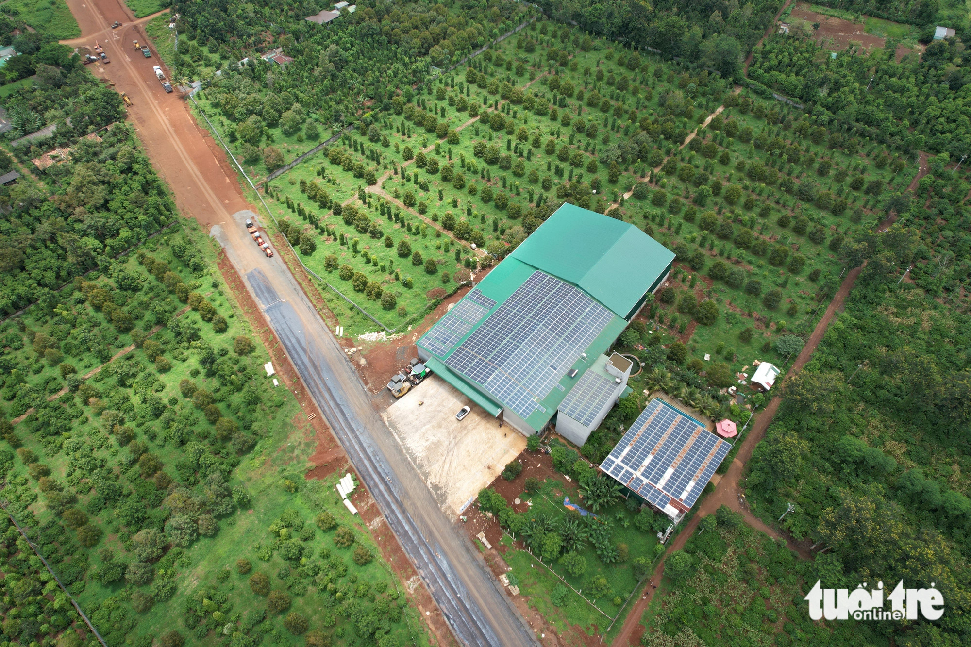 Kho sầu riêng của ông Trần Đức Lanh - cựu phó chủ tịch UBND huyện Krông Pắk hiện vẫn trái quy định - Ảnh: TRUNG TÂN Kho sầu riêng trái quy định của ông Trần Đức Lanh - cựu phó chủ tịch UBND huyện Krông Pắk - Ảnh: TRUNG TÂN