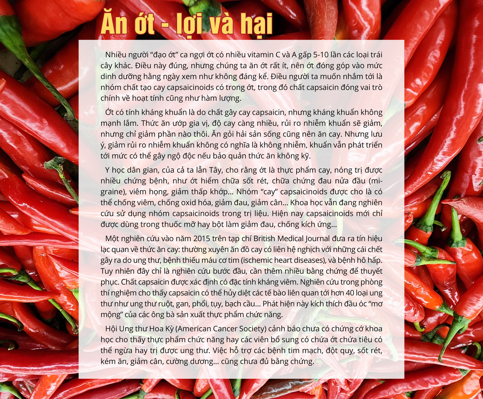Ăn cay và xứ sở - Ảnh 18. Ăn cay và xứ sở - Ảnh 18.