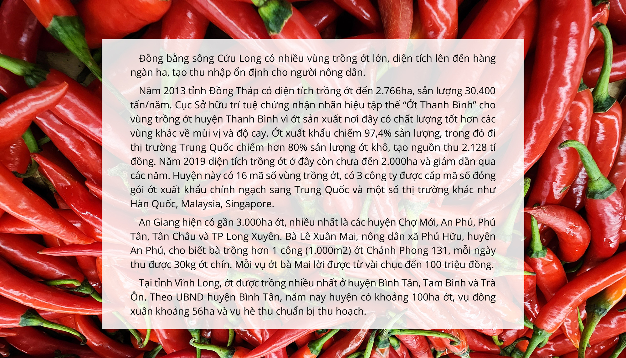 Ăn cay và xứ sở - Ảnh 30. Ăn cay và xứ sở - Ảnh 30.