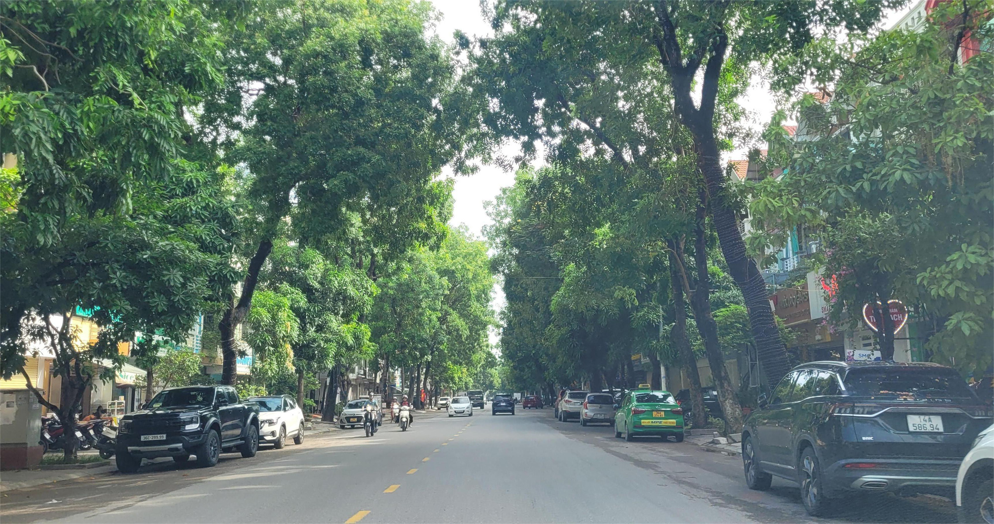 Thành phố Thanh Hóa đạt tiêu chí đô thị loại I- Ảnh 1. Đường phố Dương Đình Nghệ, TP Thanh Hóa rợp bóng cây xanh - Ảnh: HÀ ĐỒNG