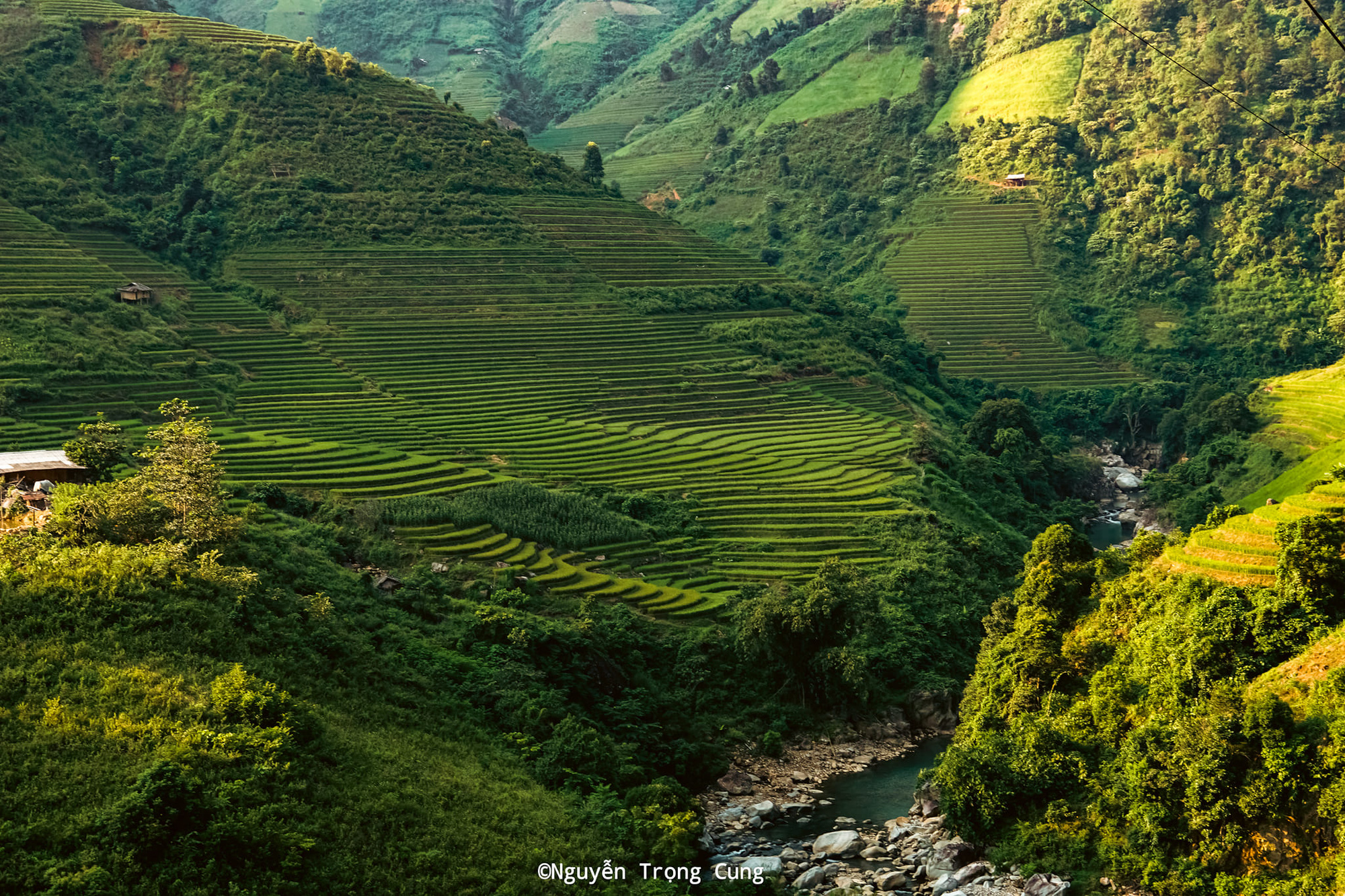 Cảnh vật trên cung trekking Tà Chì Nhù thay đổi dần theo độ cao - Ảnh: NGUYỄN TRỌNG CUNG Sắp đến mùa hoa chi pâu trên đỉnh Tà Chì Nhù- Ảnh 4.