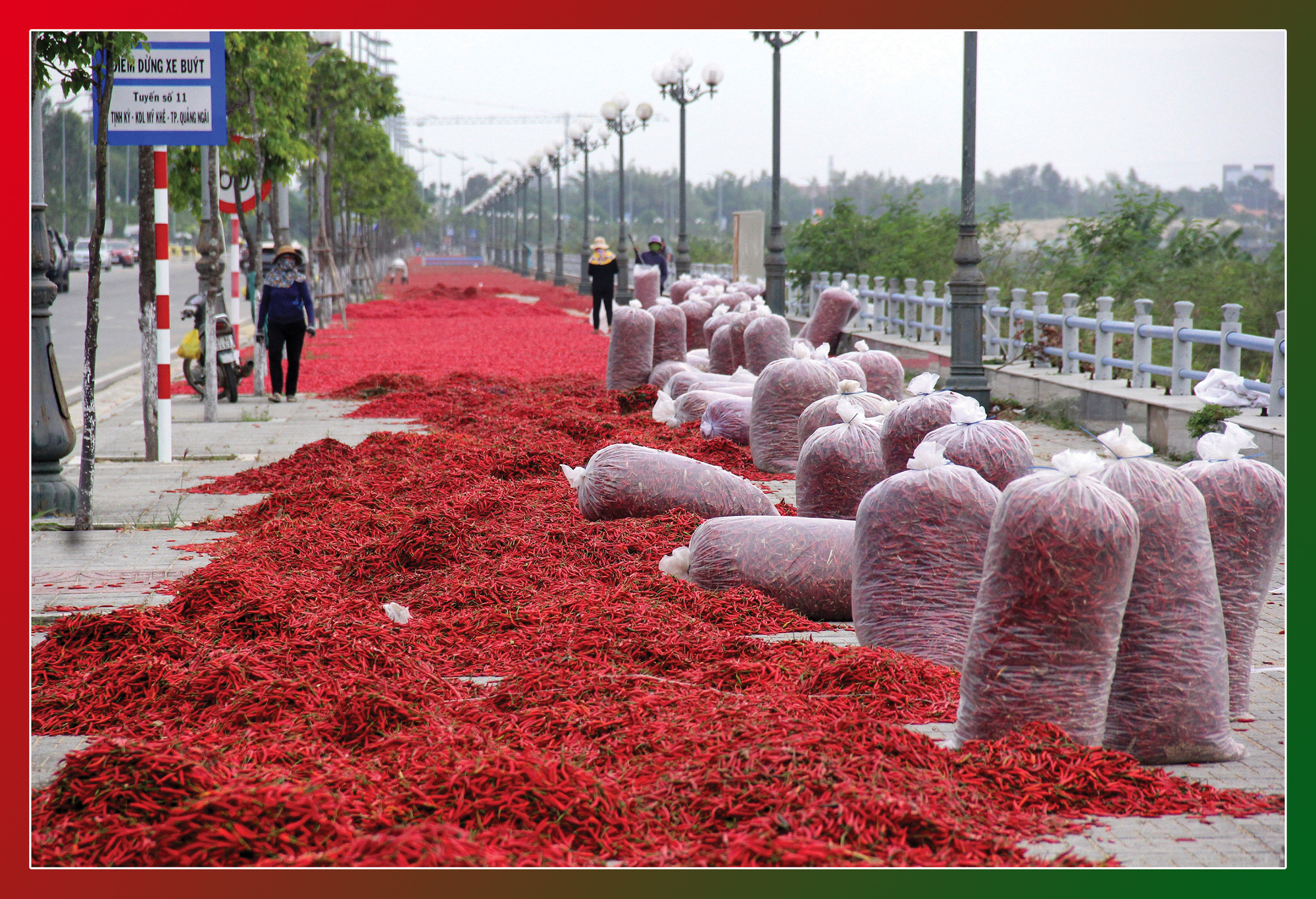 Ăn cay và xứ sở - Ảnh 28. Ăn cay và xứ sở - Ảnh 28.