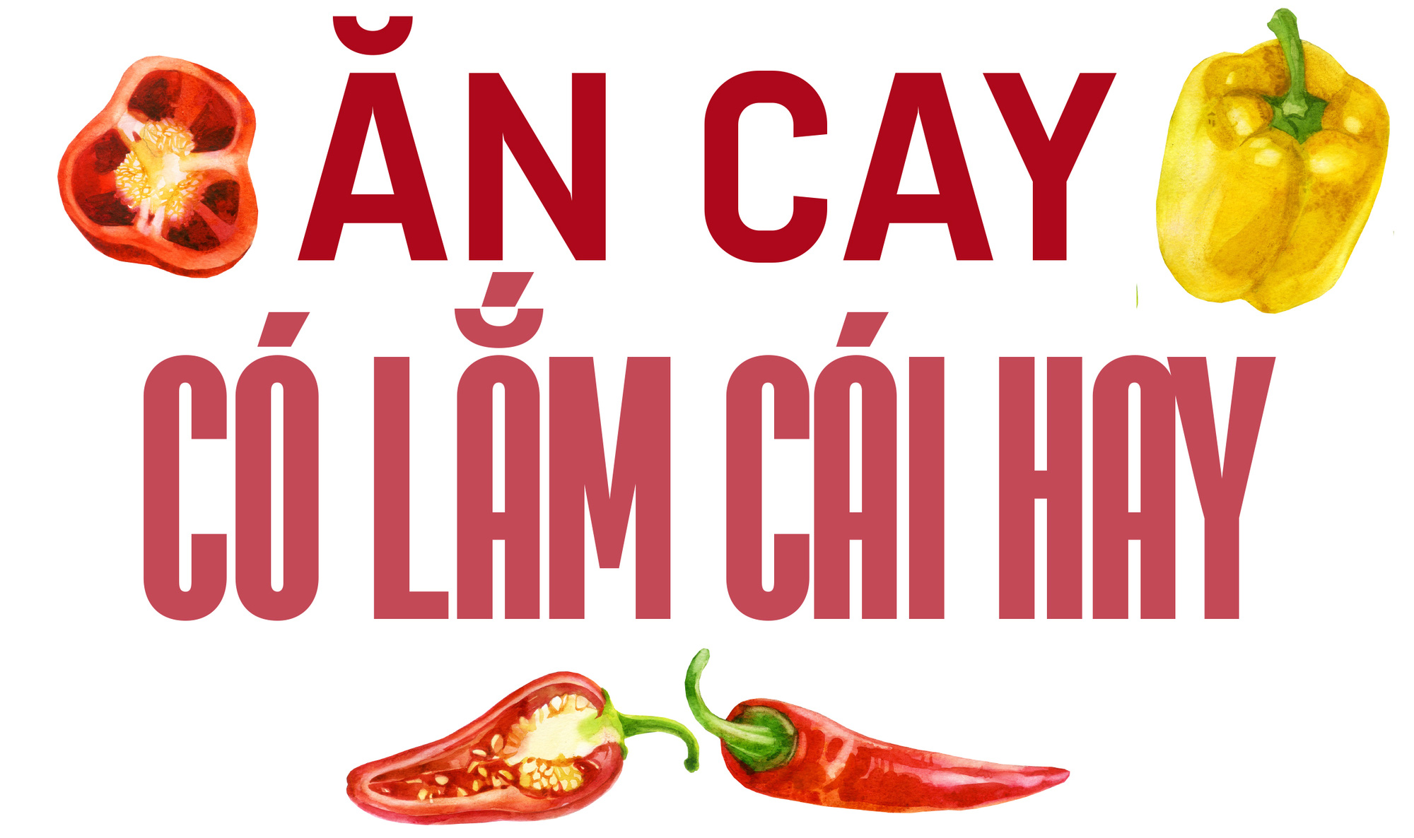 Ăn cay và xứ sở - Ảnh 6. Ăn cay và xứ sở - Ảnh 6.