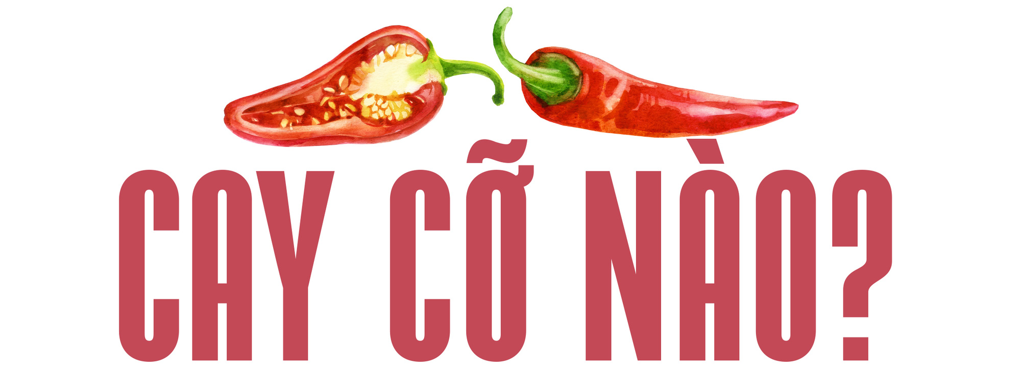 Ăn cay và xứ sở - Ảnh 14. Ăn cay và xứ sở - Ảnh 14.