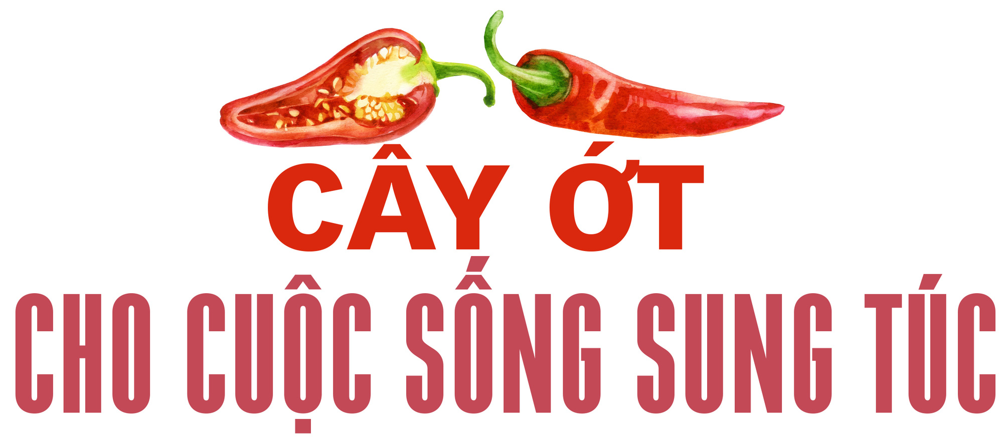 Ăn cay và xứ sở - Ảnh 25. Ăn cay và xứ sở - Ảnh 25.