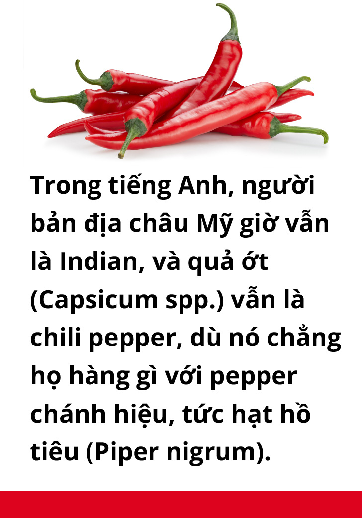 Ăn cay và xứ sở - Ảnh 3. Ăn cay và xứ sở - Ảnh 3.