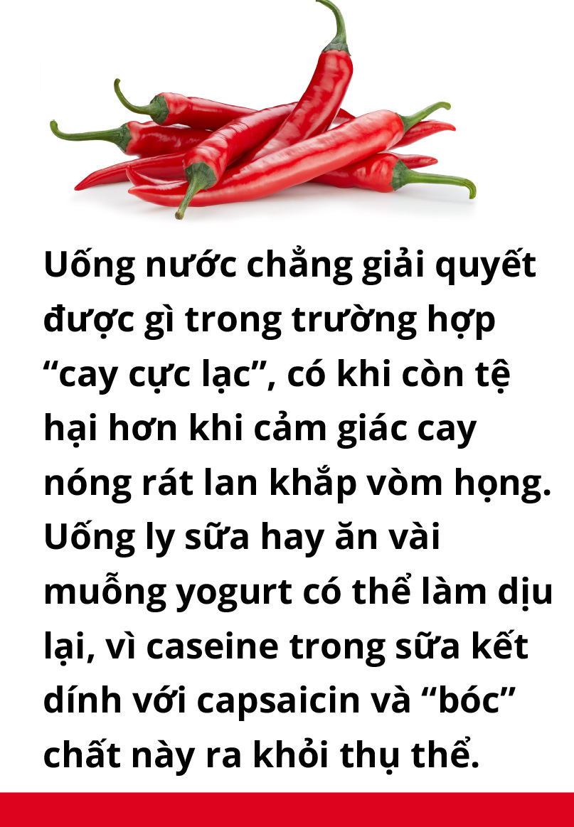 Ăn cay và xứ sở - Ảnh 13. Ăn cay và xứ sở - Ảnh 13.