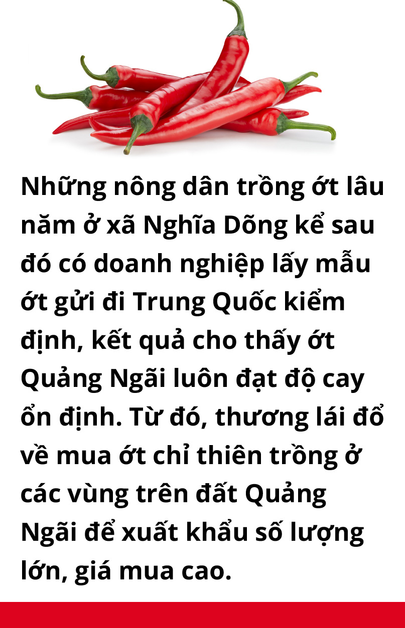 Ăn cay và xứ sở - Ảnh 27. Ăn cay và xứ sở - Ảnh 27.