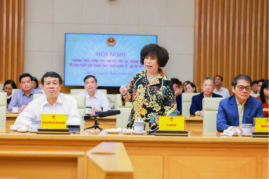 Bà Thái Hương, nhà sáng lập, Chủ tịch Hội đồng Chiến lược TH phát biểu tại Hội nghị của Thường trực Chính phủ làm việc với các doanh nghiệp sáng 21/9. Ảnh: TH