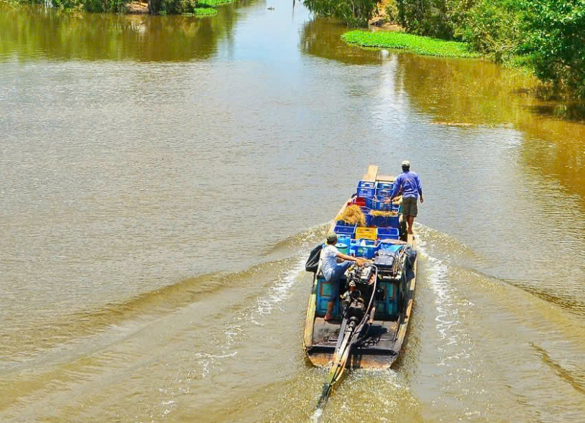 Lũ tràn đồng tại huyện đầu nguồn An Phú, tỉnh An Giang giữa tháng 9. Ảnh: An Bình