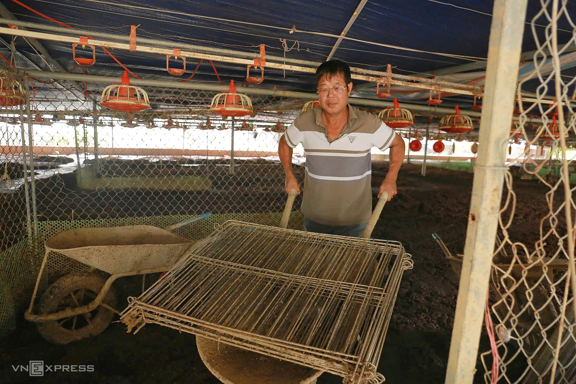 Ông Nguyễn Ngọc Lương, sống ở xóm Vải, xã Cao Ngạn, TP Thái Nguyên đang dọn dẹp chuồng gà để bắt đầu chăn nuôi trở lại, ngày 15/9/2024. Ảnh: Thanh Nga
