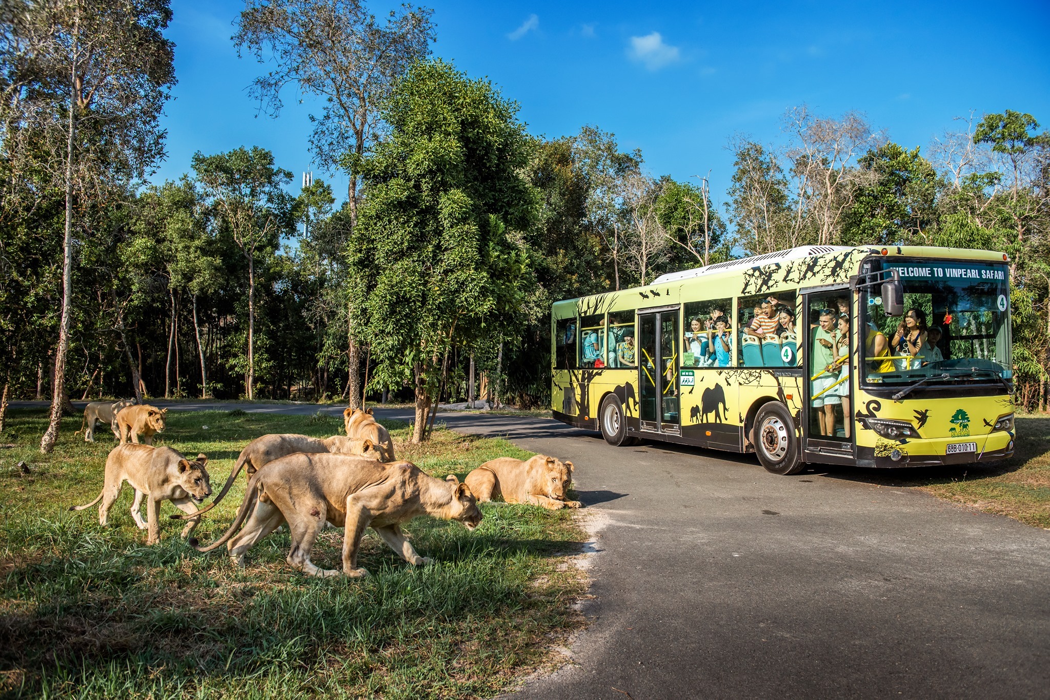 Mô hình nhốt người, thả thú tại vườn thú Vinpearl Safari Phú Quốc. Ảnh: Vinpearl