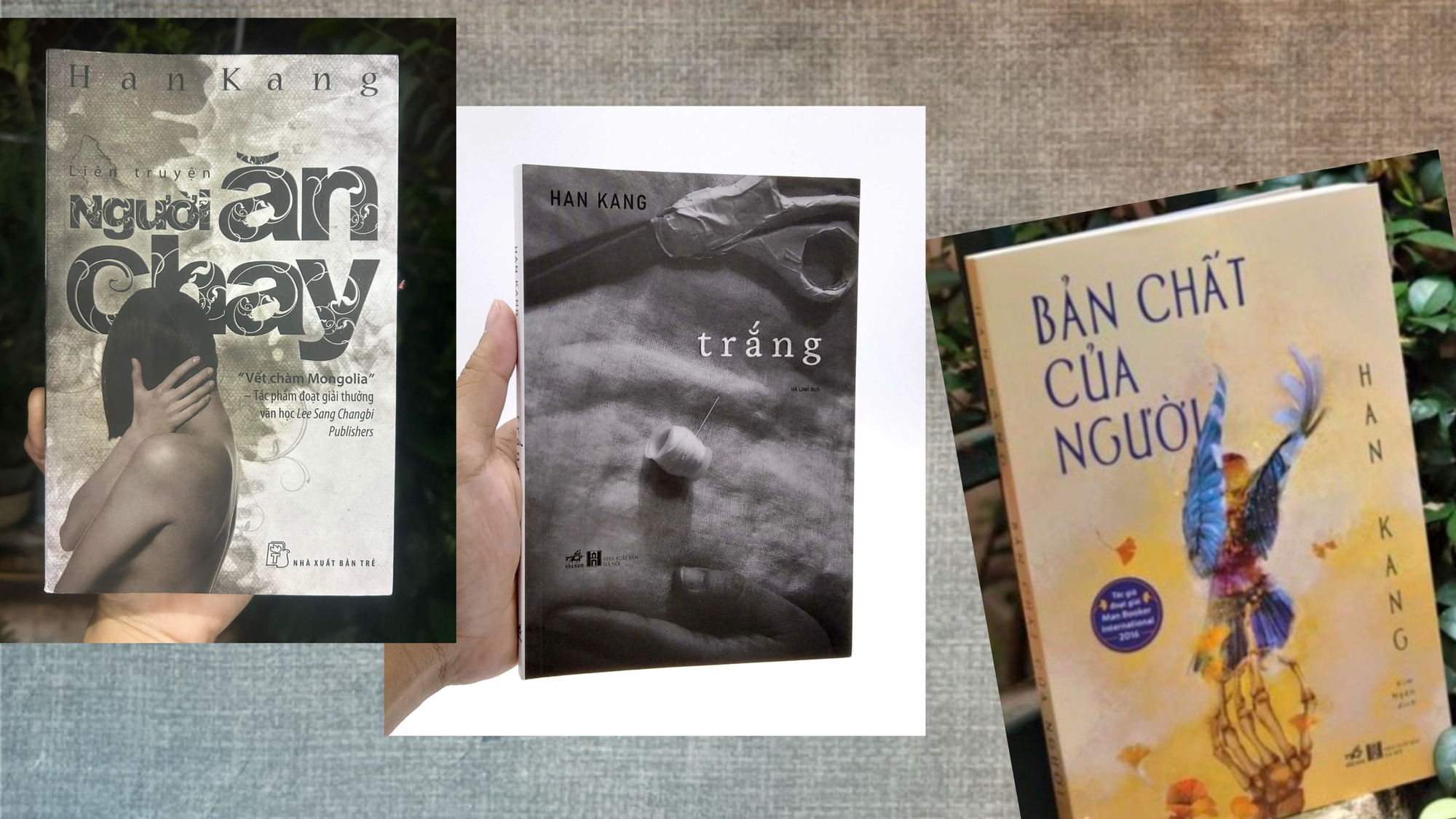 Han Kang dịch thuật và tính phổ quát của văn chương - Ảnh 2. Tác gia Nobel văn chương 2024 Han Kang: Chuyện dịch thuật và tính phổ quát của văn chương - Ảnh 2.