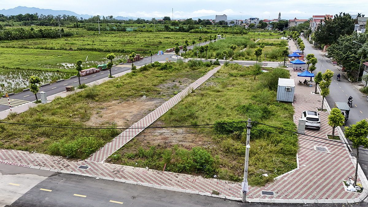 Loay hoay trị 'bệnh' đấu giá - thổi giá - Ảnh 1. Loay hoay trị 'bệnh' đấu giá - thổi giá - Ảnh 1.