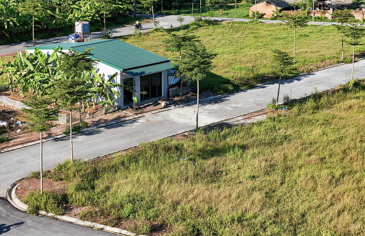 Loay hoay trị 'bệnh' đấu giá - thổi giá - Ảnh 3. Loay hoay trị 'bệnh' đấu giá - thổi giá - Ảnh 3.