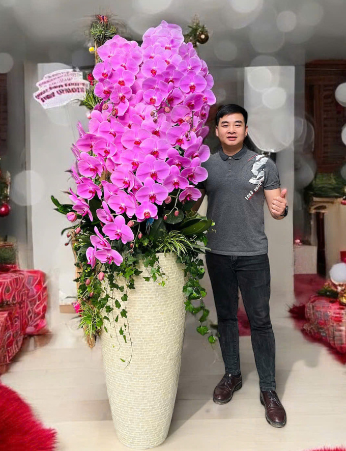 Chậu lan hồ điệp nữ hoàng cao 2,4m ôm lũa gỗ giá 35 triệu đồng. Ảnh: Việt Anh