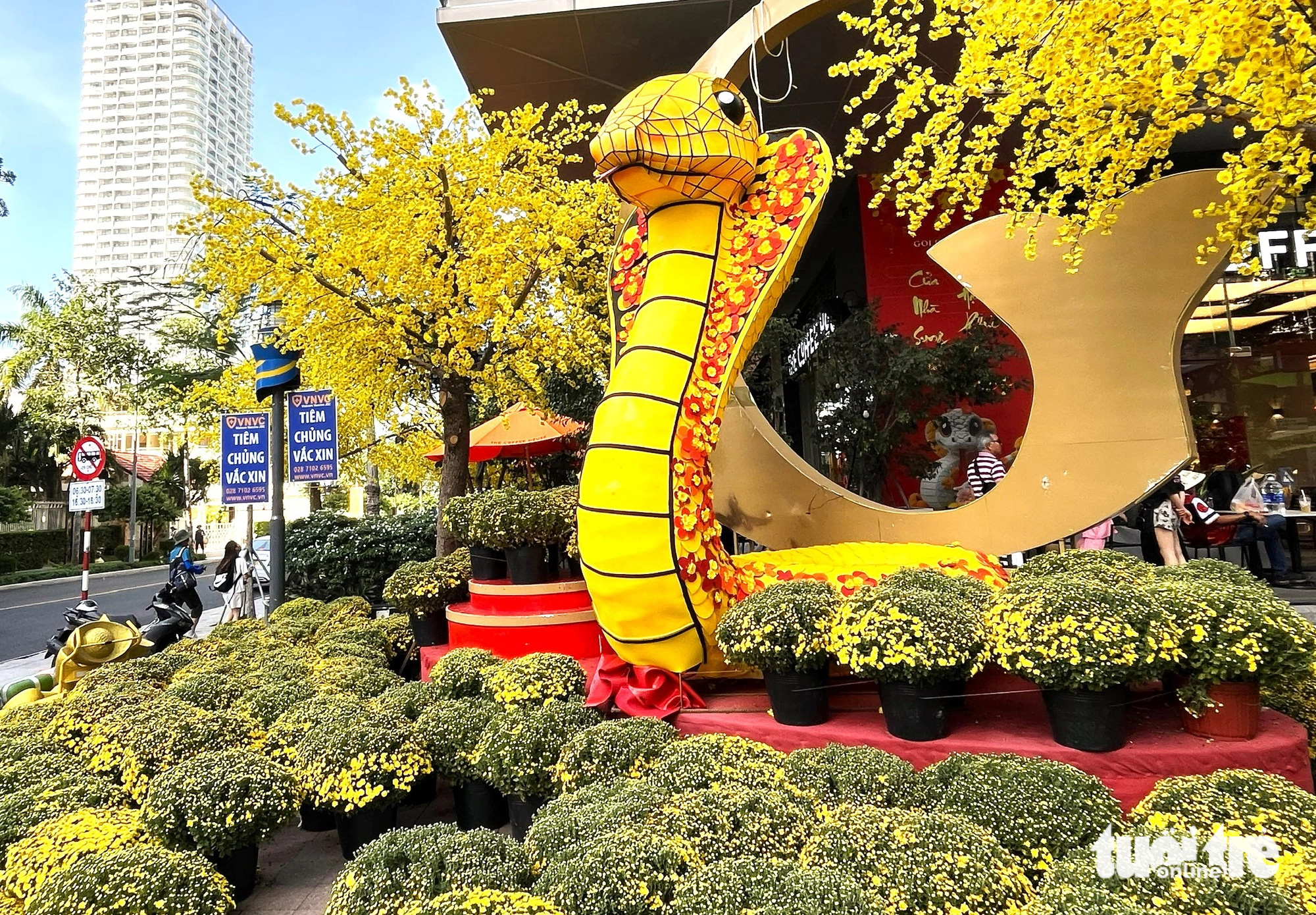 Lộ diện 'bé Na' linh vật năm Ất Tỵ ở Nha Trang: Rắn hổ mang chúa dễ thương - Ảnh 1. Lộ diện 'bé Na' linh vật năm Ất Tỵ ở Nha Trang: Rắn hổ mang chúa dễ thương - Ảnh 1.