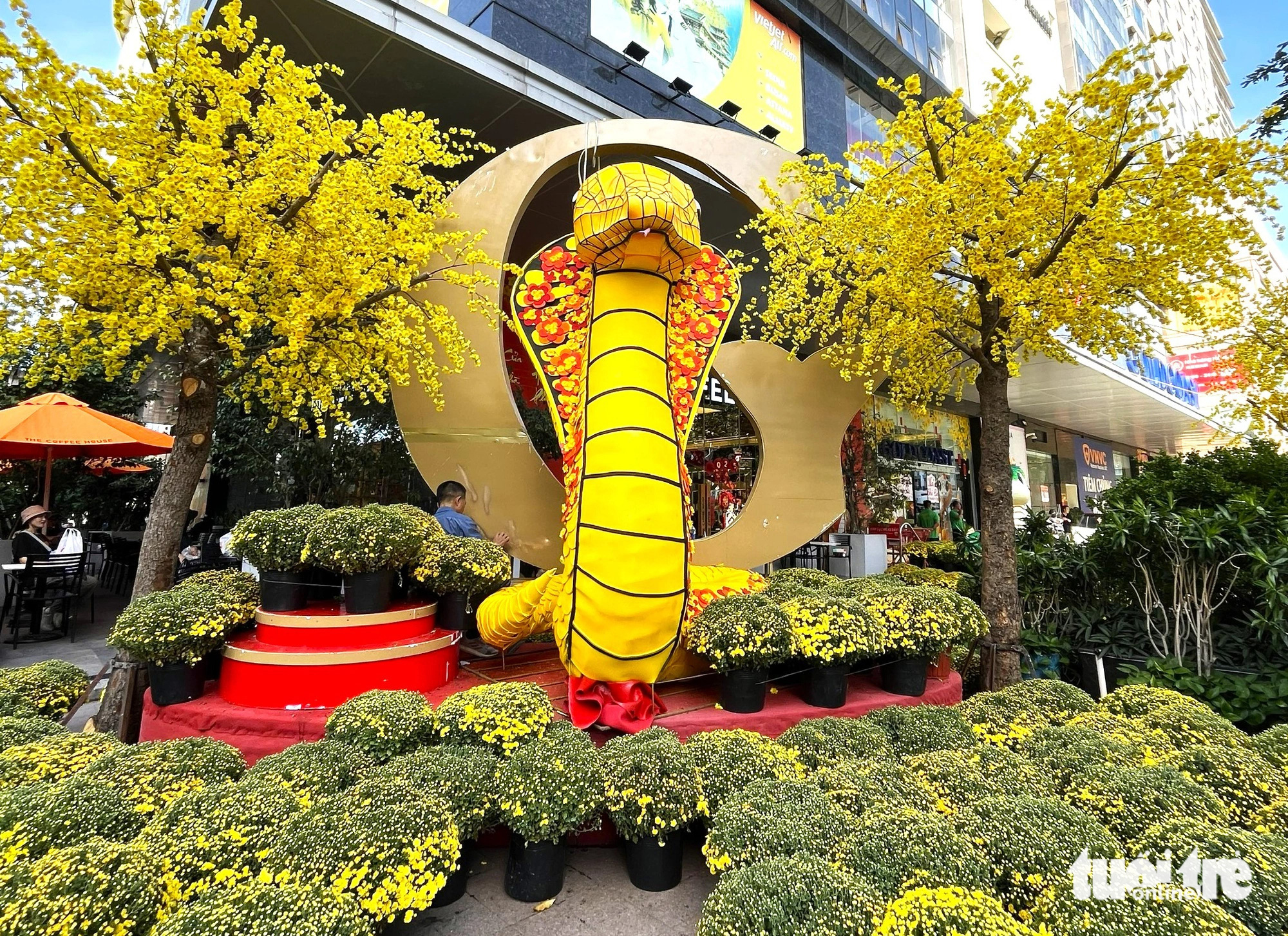 Lộ diện 'bé Na' linh vật năm Ất Tỵ ở Nha Trang: Rắn hổ mang chúa dễ thương - Ảnh 2. Lộ diện 'bé Na' linh vật năm Ất Tỵ ở Nha Trang: Rắn hổ mang chúa dễ thương - Ảnh 2.