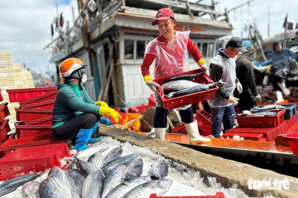 Về cảng cá kiên cường ngày giáp Tết - Ảnh 1.