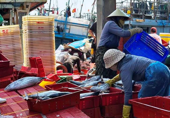 Về cảng cá kiên cường ngày giáp Tết - Ảnh 6.