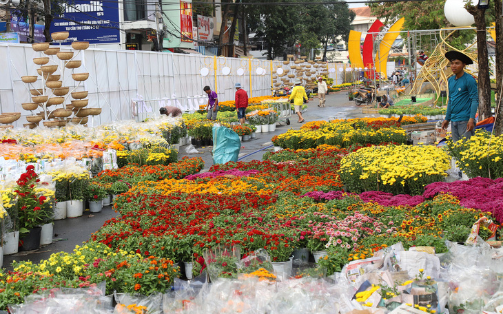 Cần Thơ khai mạc đường hoa nghệ thuật, đôi rắn tình yêu xuất hiện - Ảnh 7.