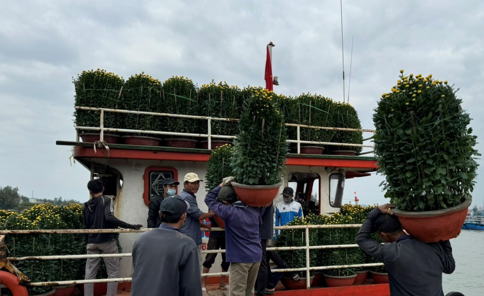 Thời tiết đẹp, hàng Tết tấp nập lên tàu ra đảo Lý Sơn - Ảnh 3.