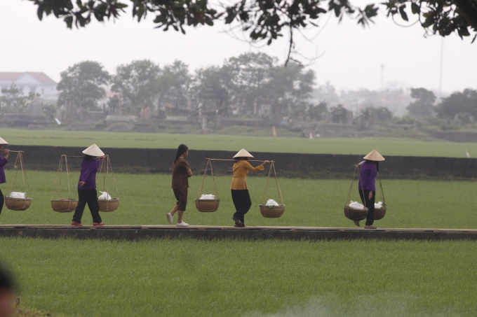 Phụ nữ làng Vân Cù tái hiện cảnh gánh bún tươi vượt cánh đồng ruộng. Ảnh: Võ Thạnh