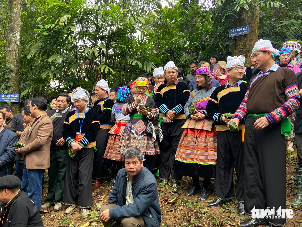 Độc đáo lễ hội cúng rừng giữa rừng với lời thề bảo vệ rừng - Ảnh 5. Độc đáo lễ hội cúng rừng người Mông xã Nà Hẩu với lời thề bảo vệ rừng - Ảnh 5.