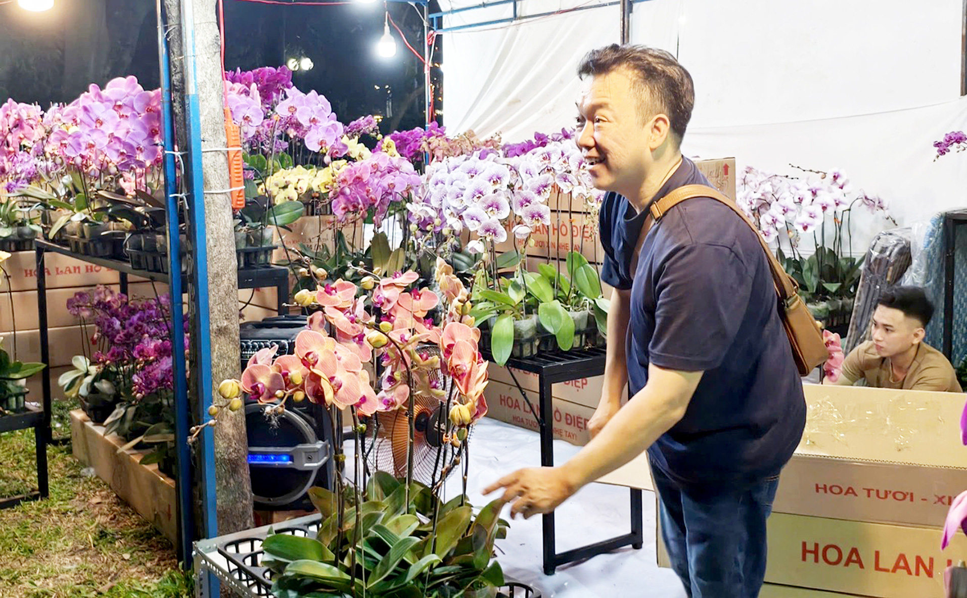 Hoa Tết rực rỡ phố phường - Ảnh 2. Hoa Tết rực rỡ phố phường - Ảnh 2.