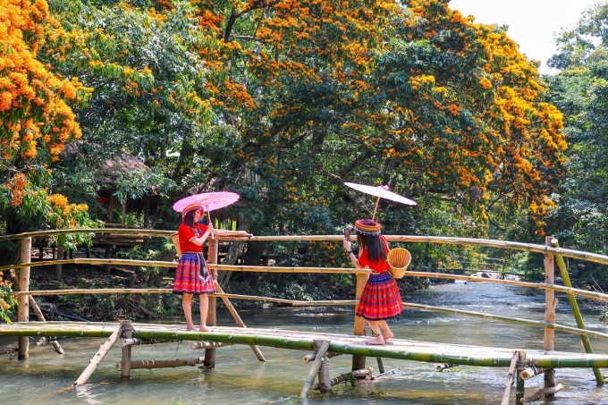 Suối Tà Má - địa điểm du lịch mới nổi của Bình Định. Ảnh: Nguyễn Dũng
