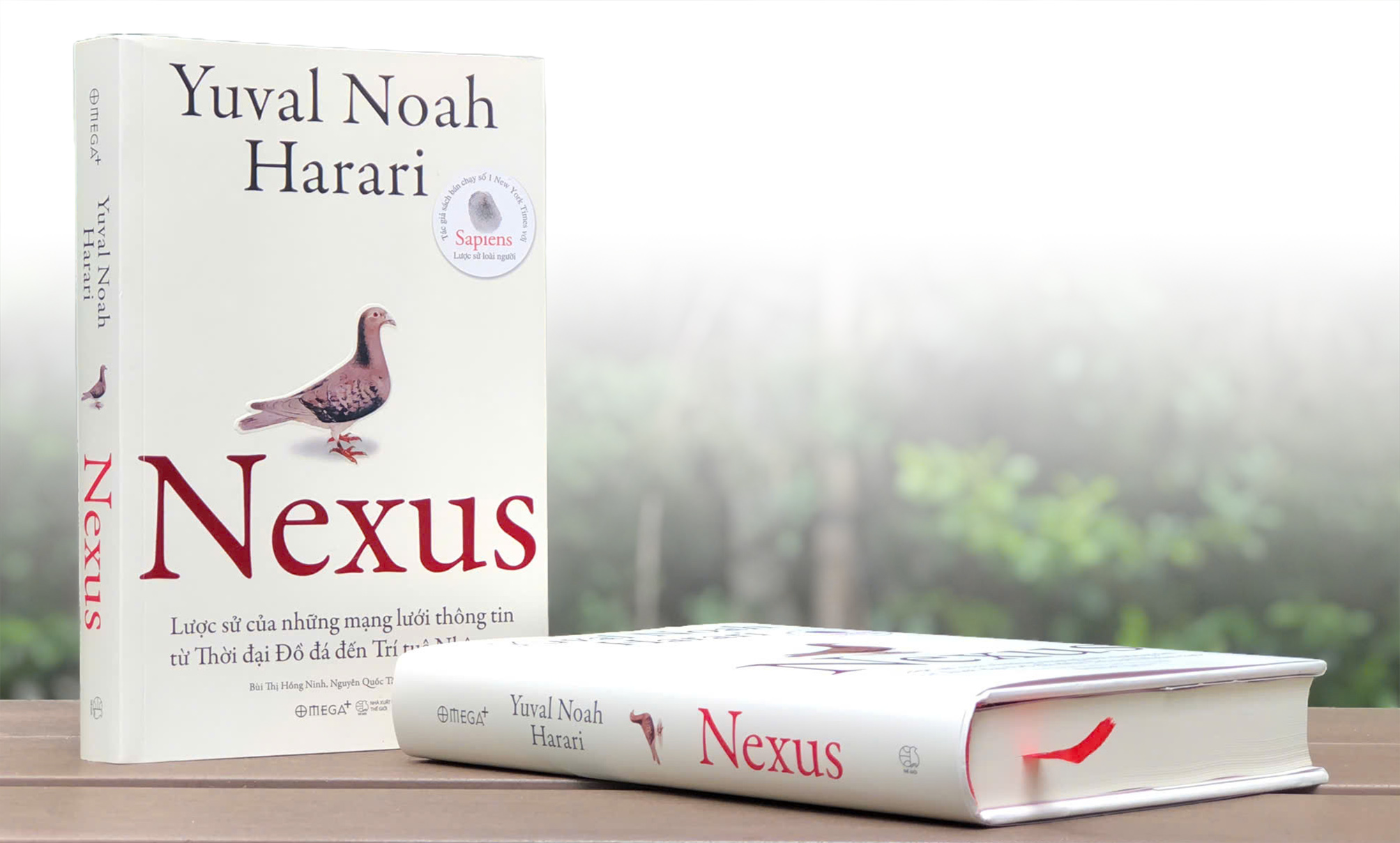 Nexus - Ảnh 2.