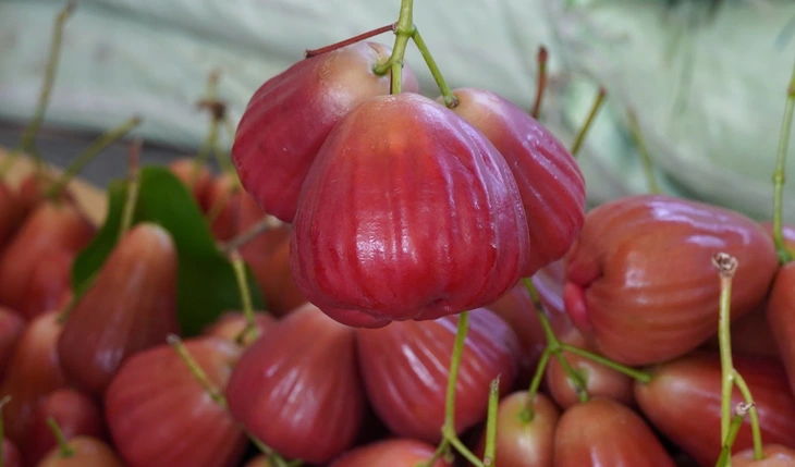 mận hồng - Ảnh 1.