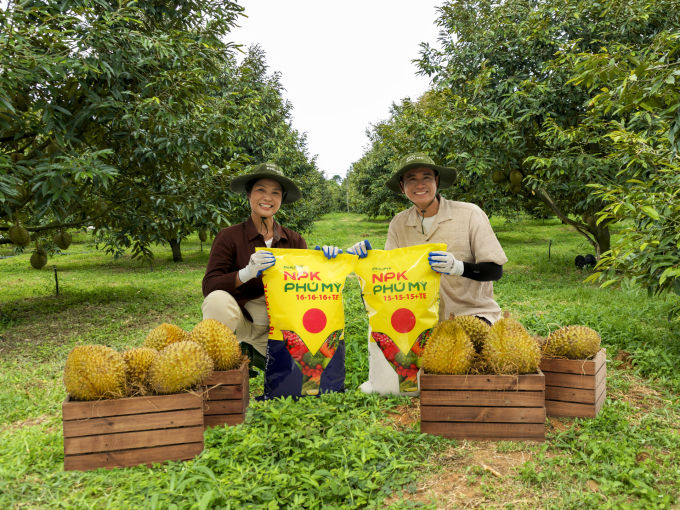 Người dân Đắk Lắk tin dùng phân bón NPK Phú Mỹ vào canh tác sầu riêng. Ảnh: Phú Mỹ