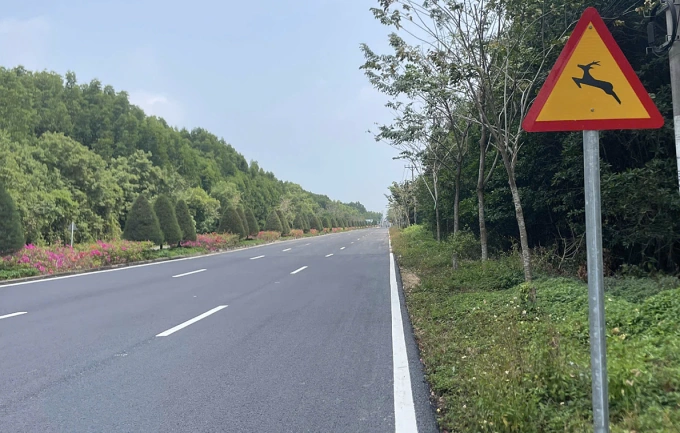 Lực lượng chức năng cắm nhiều biển báo thú rừng vượt qua đường dọc đường Rừng Sác để cảnh báo người lái xe. Ảnh: BQL rừng phòng hộ Cần Giờ